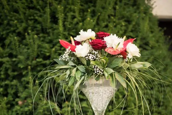 Poppin's Evénements — photo 7