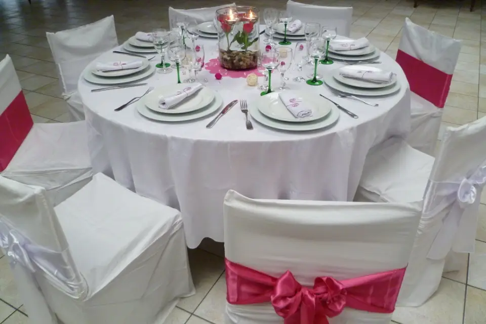 Housse de chaise 68 — photo 4