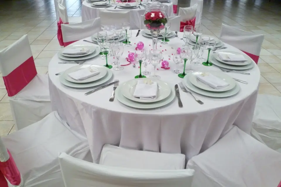 Housse de chaise 68 — photo 5