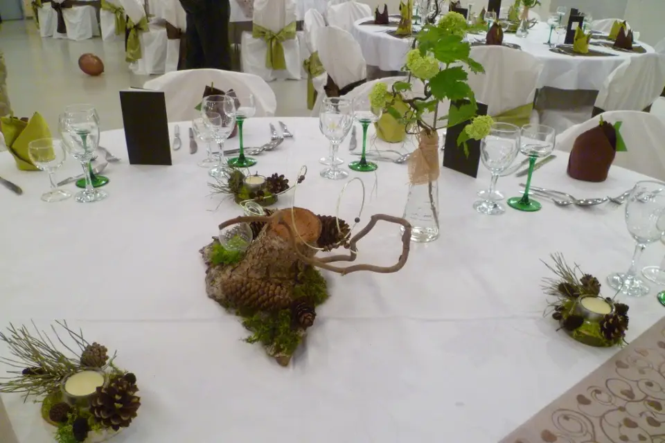 Housse de chaise 68 — photo 7