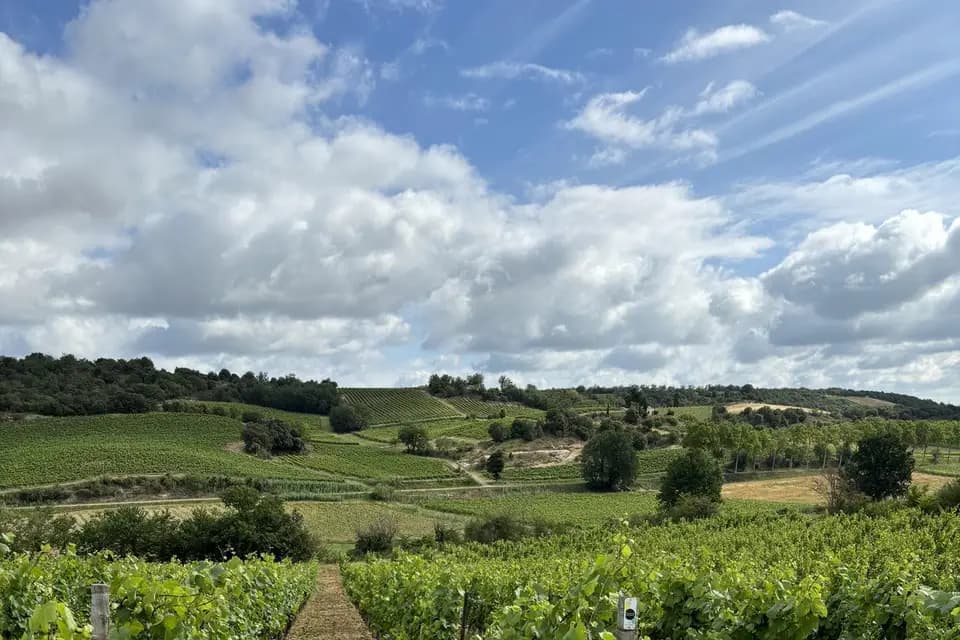 Domaine Pasquetto — photo 7