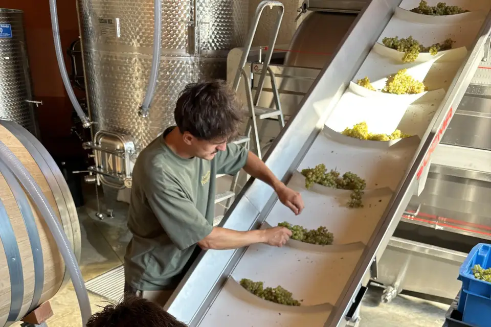 Domaine Pasquetto — photo 4