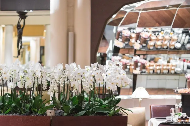 Park Hyatt Paris-Vendôme — photo 7