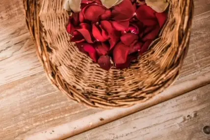 Zola service — photo 1