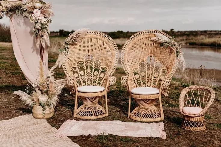 Zola service — photo 8