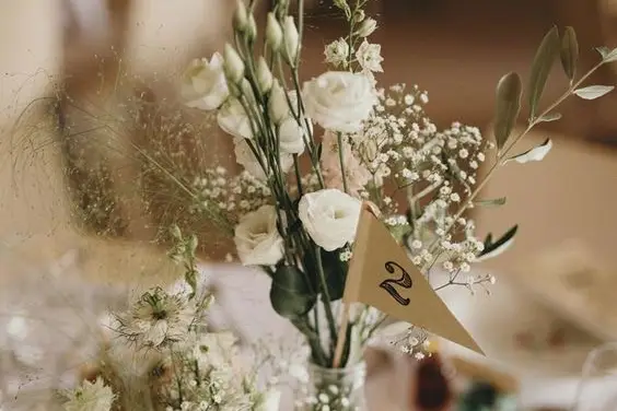 Zola service — photo 6