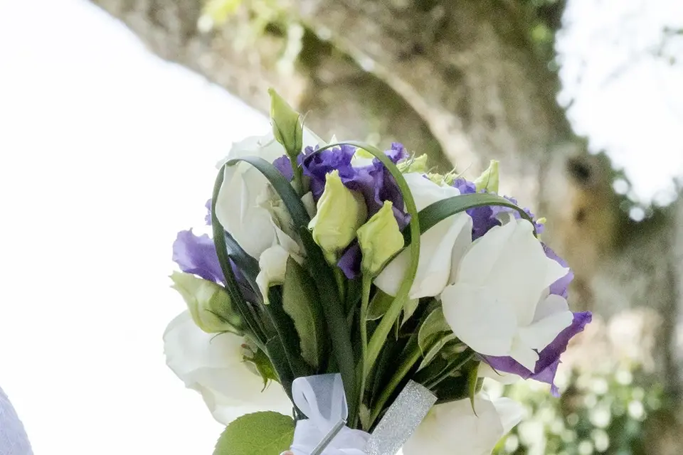 ICS Lyon — photo 1