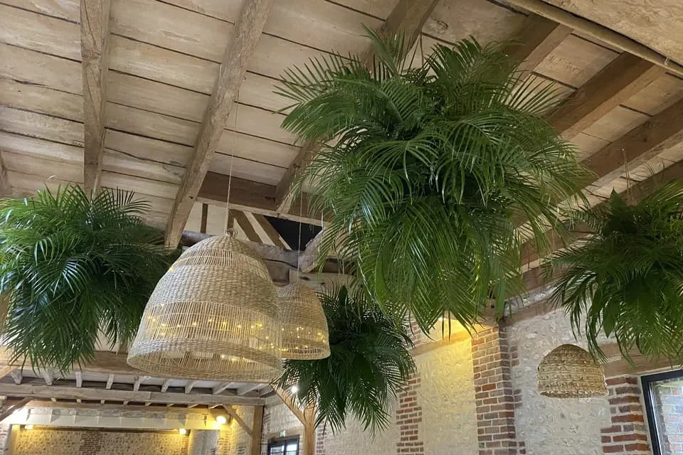 Les Jolis Jours — photo 7