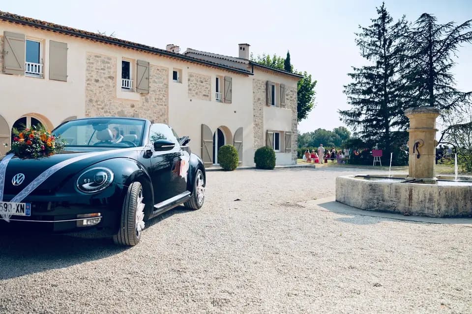 MarjMovie — photo 1