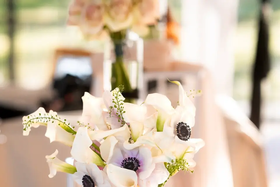 Mariage Poudré — photo 7