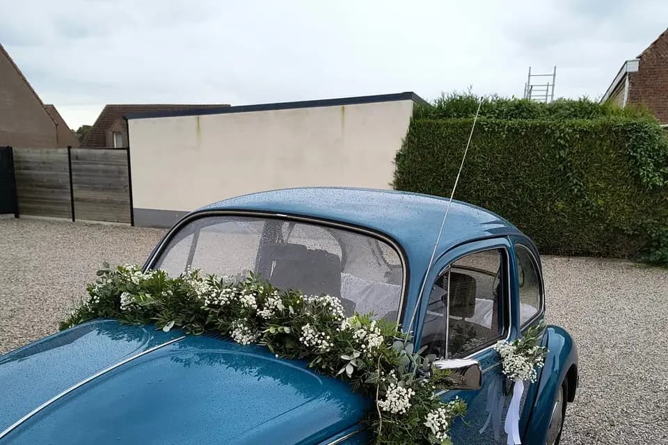 Fleurs en Scène — photo 4