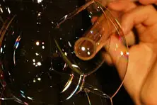 Tibo & Co — photo 3