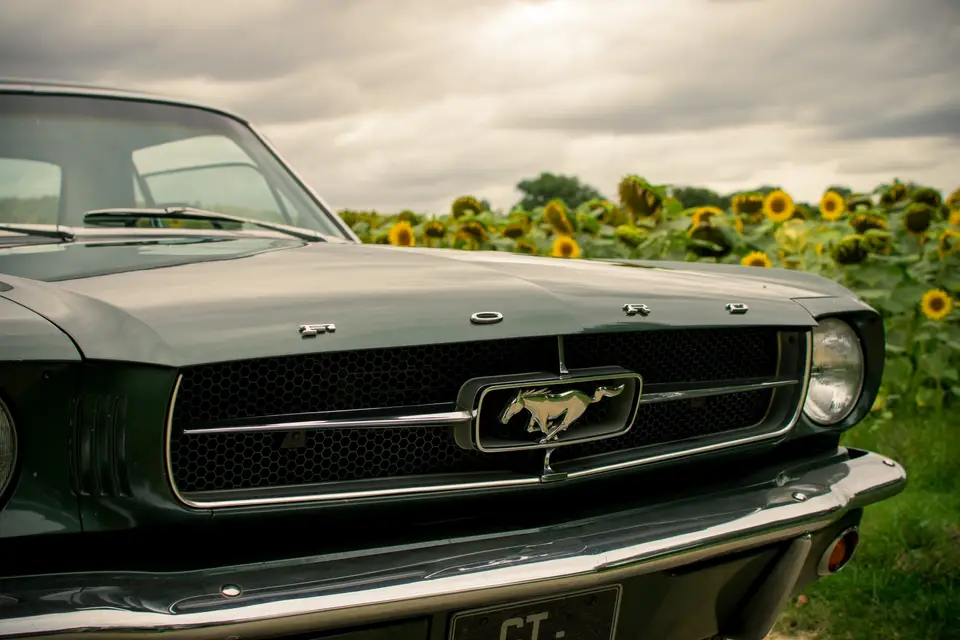 Mustang 1965 Gers — photo 4