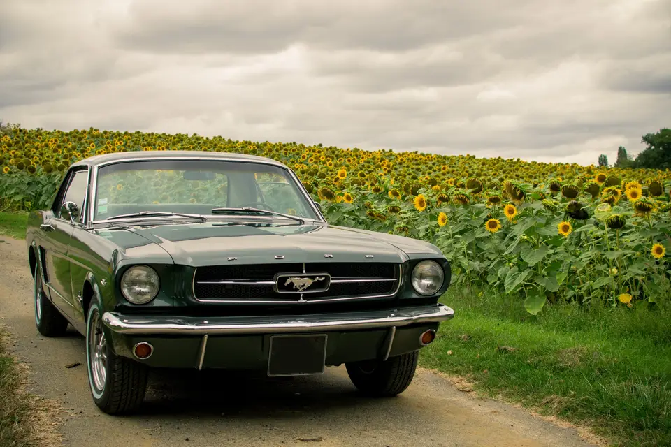 Mustang 1965 Gers — photo 6