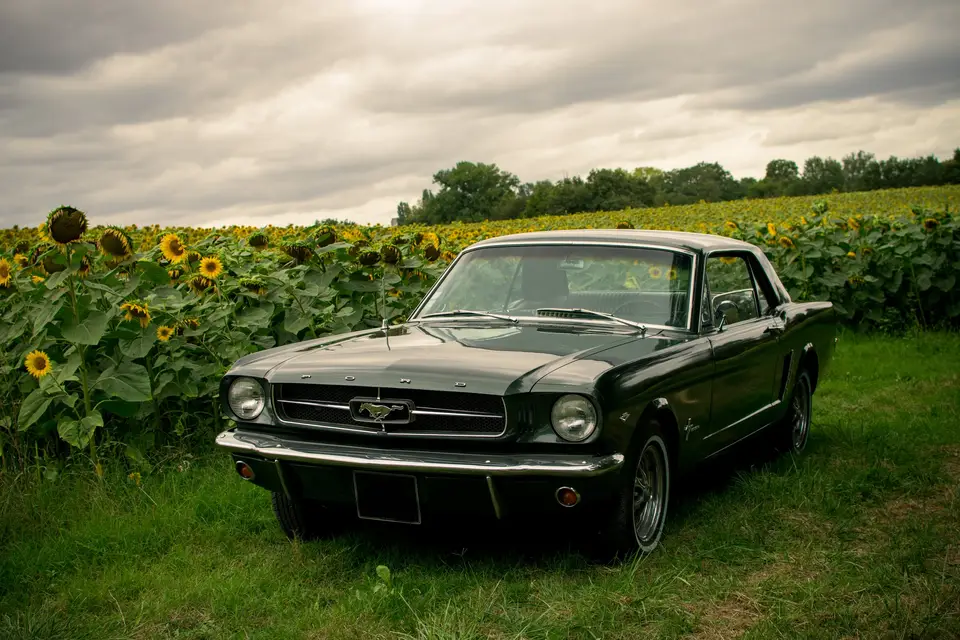 Mustang 1965 Gers — photo 7