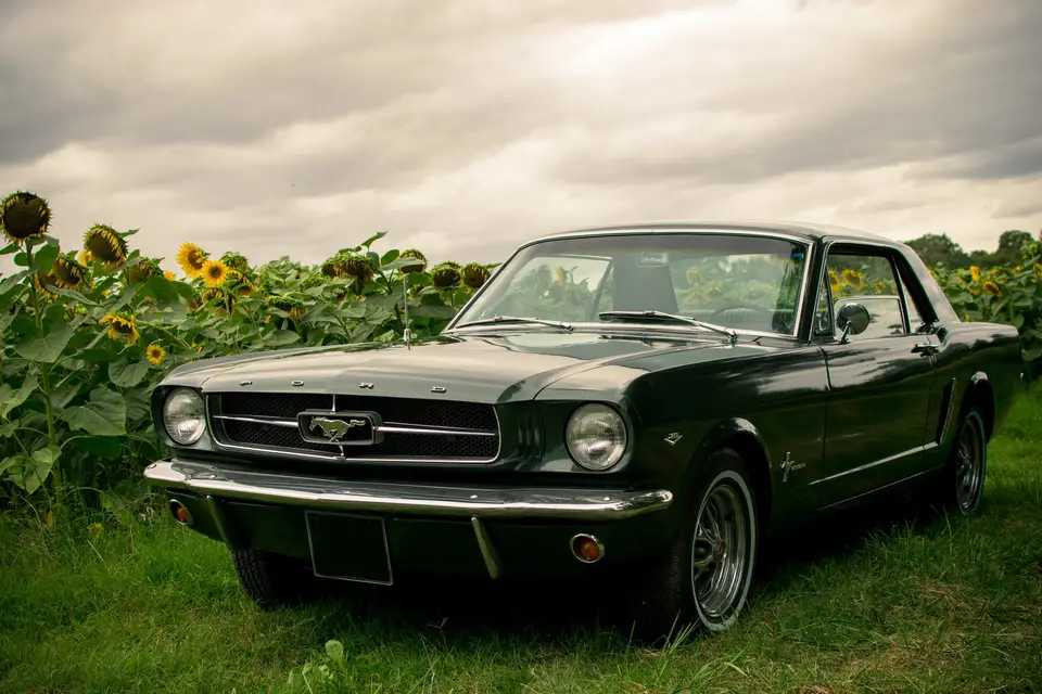 Mustang 1965 Gers — photo 8