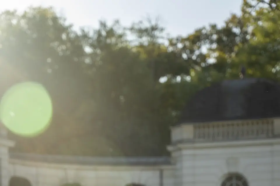 Jungle Juice — photo 6