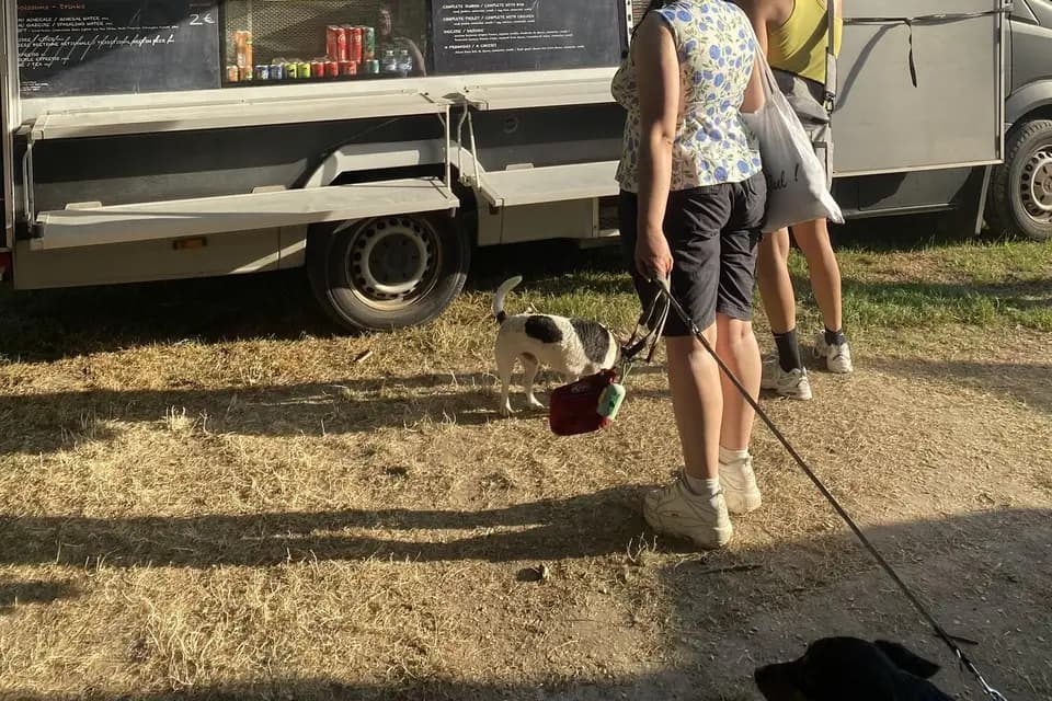 Korrigans — photo 6