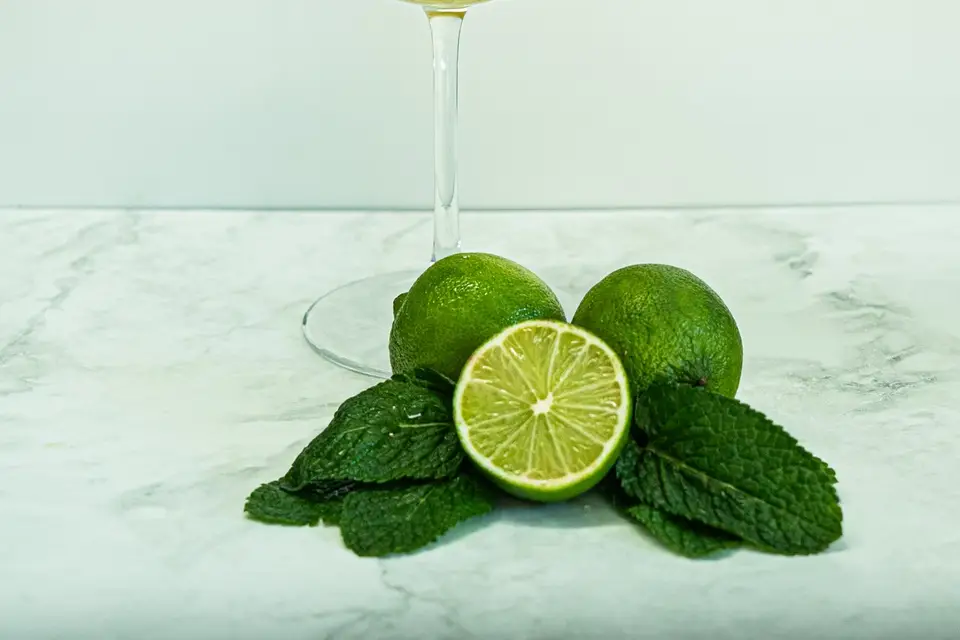 Shake Cocktails Bar — photo 6