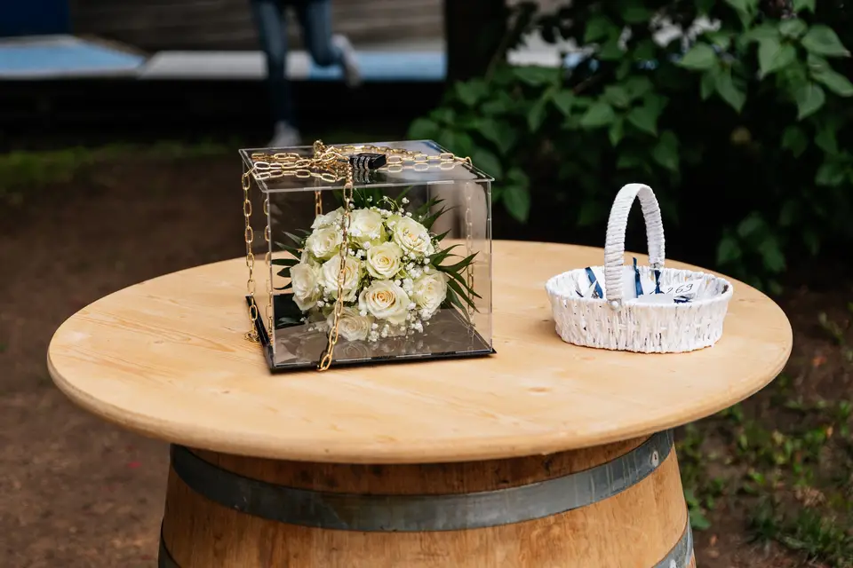 Memo Studio — photo 5