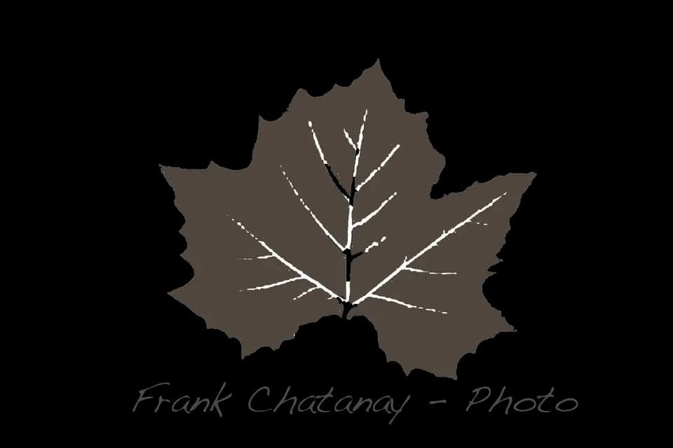 Frank Chatanay - Photographie — photo 2