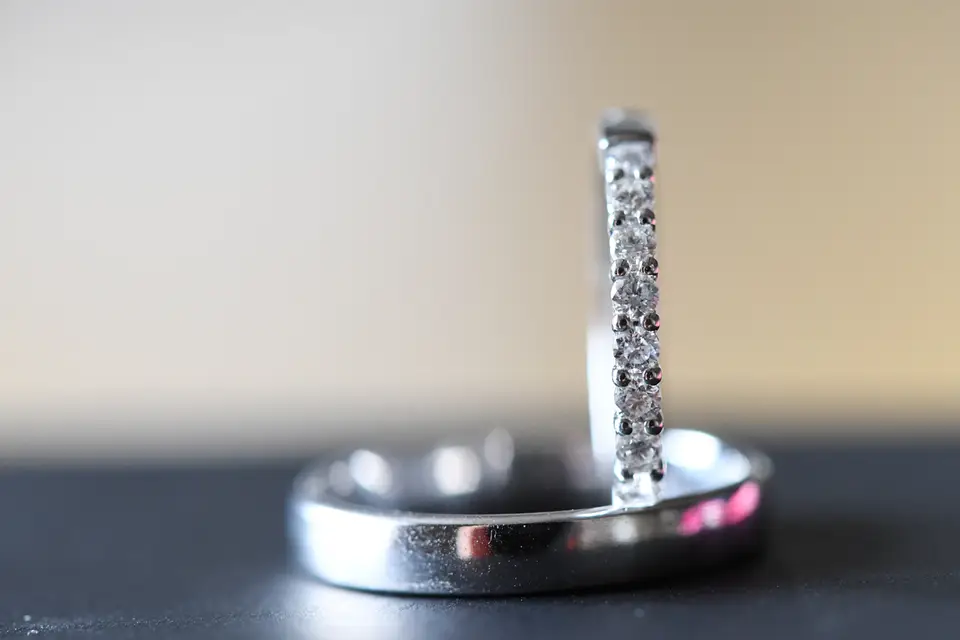 Laurent Carpentier — photo 8