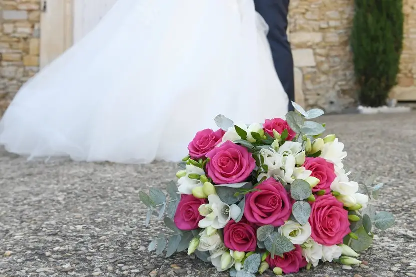 Laurent Carpentier — photo 9