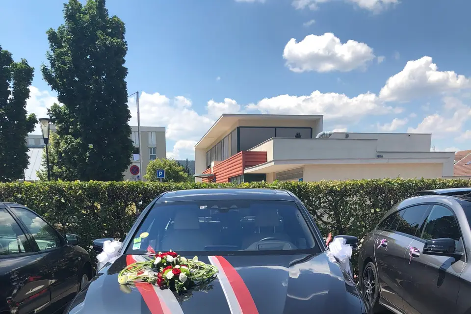 MF Autoloc — photo 7