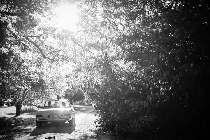 Domaine de la Bergerie — photo 2