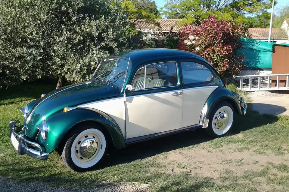 Voitures anciennes Nalle — photo 1