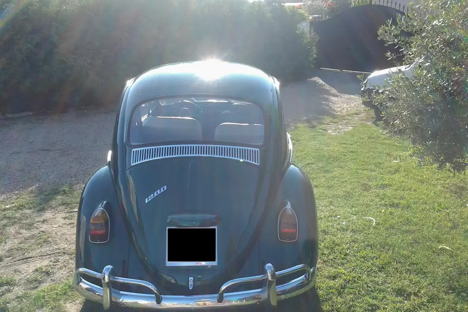 Voitures anciennes Nalle — photo 4