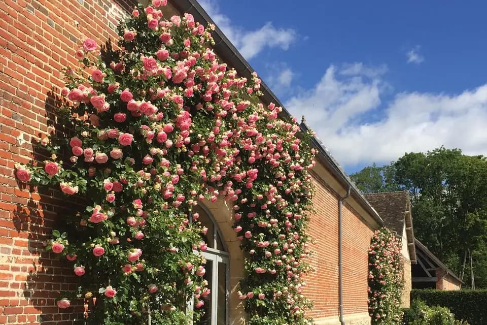 Domaine de Boissy le Bois — photo 5