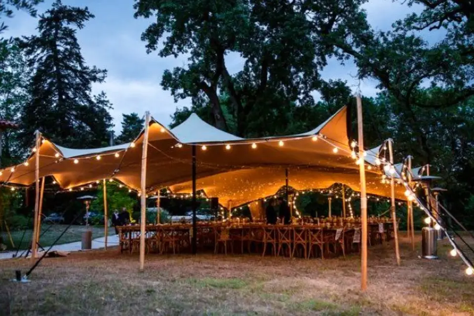 Festi Time — photo 1