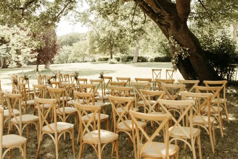 Festi Time — photo 6