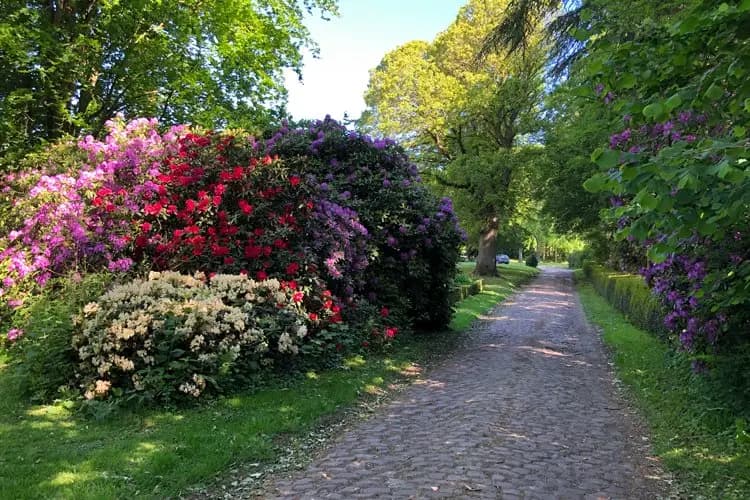 Le Château D'en Haut — photo 8