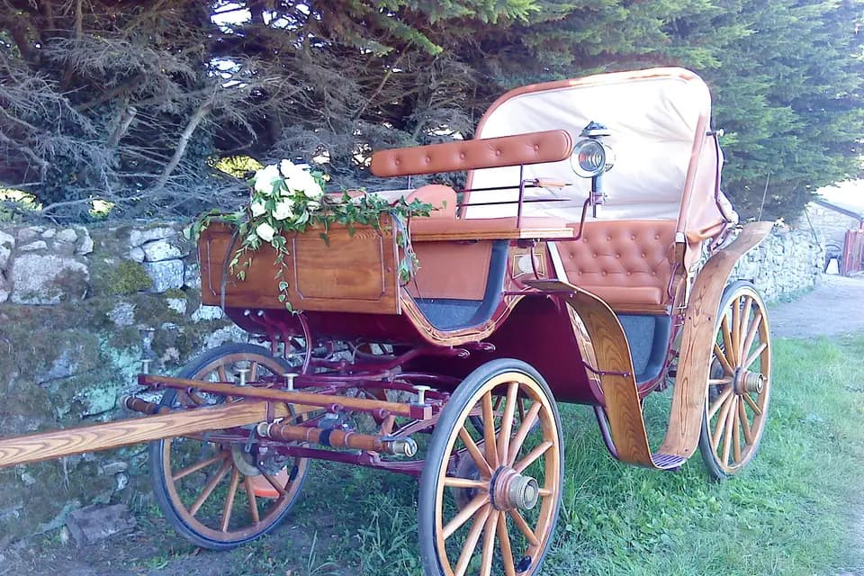 Les Chevaux de Congor — photo 7