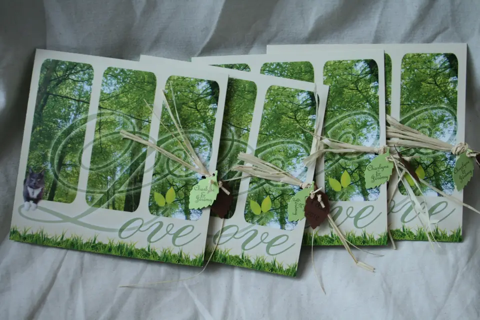 Magali Ducros — photo 4