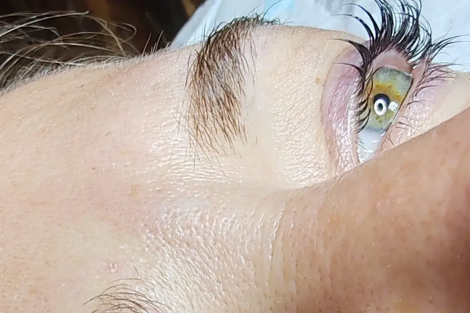 CG L'Institut — photo 2