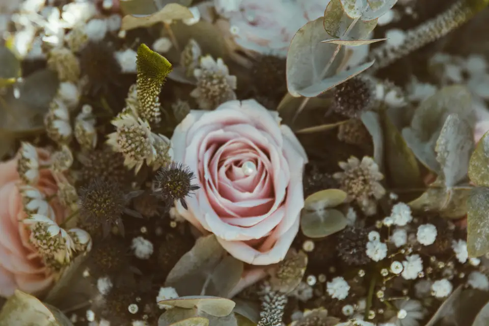 Lucas Maye Production — photo 7