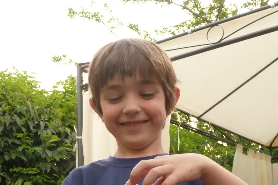 Family Sphere — photo 3