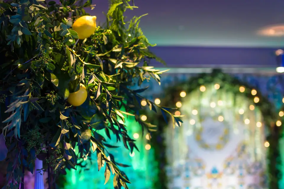 Service de Fleur — photo 7