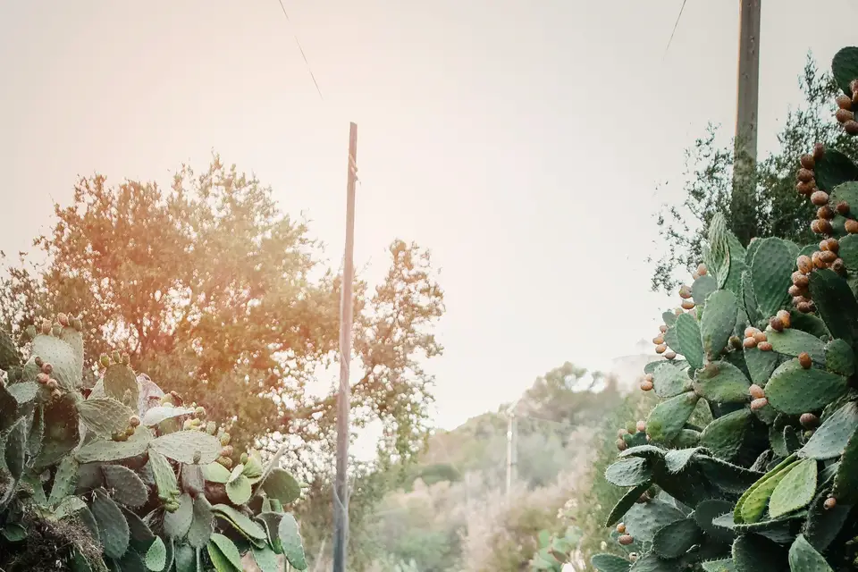 Loulette Images & Créations — photo 5