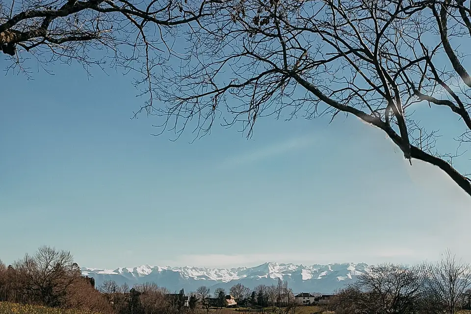 Pretty Joy Things — photo 5