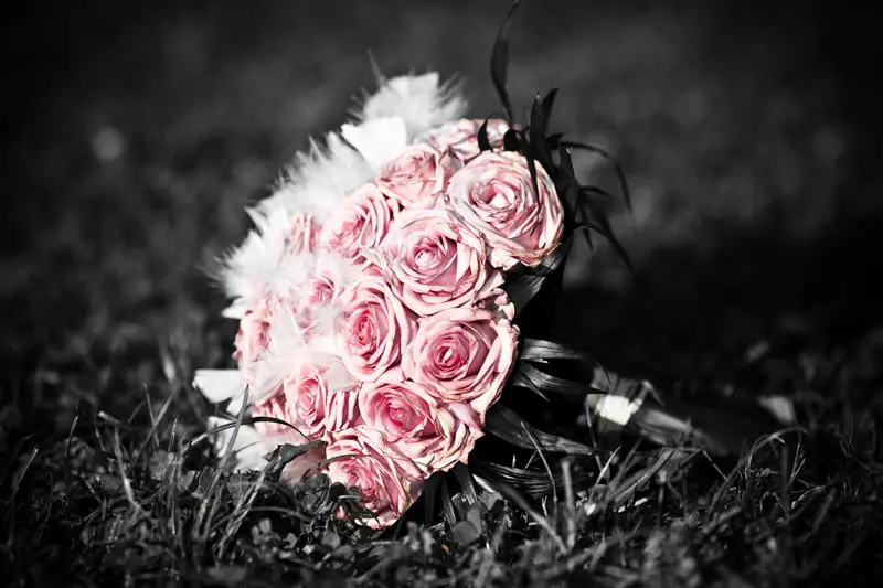 Photoshot — photo 2