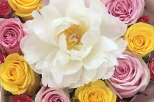 Agence Mizigo — photo 2