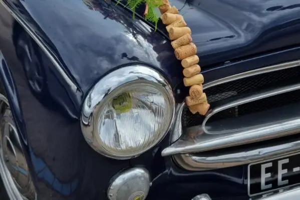 Orizon Nature — photo 6