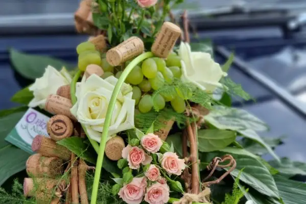 Orizon Nature — photo 7