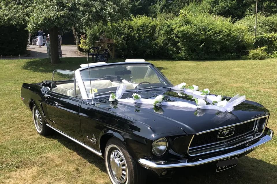 Rétro Location 62 — photo 3