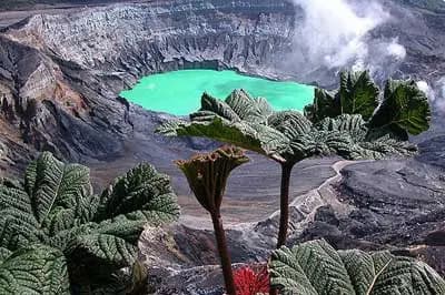 Phone and Go — photo 5