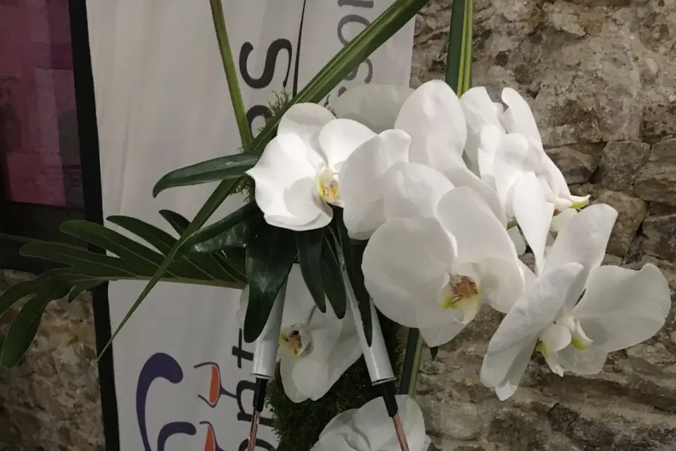 Les fontaines en location — photo 5